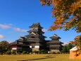 松本城