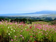 コスモスの丘 白木峰高原から