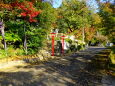 深まる秋の神社参道