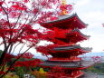 紅葉飾りの山寺の五重の塔
