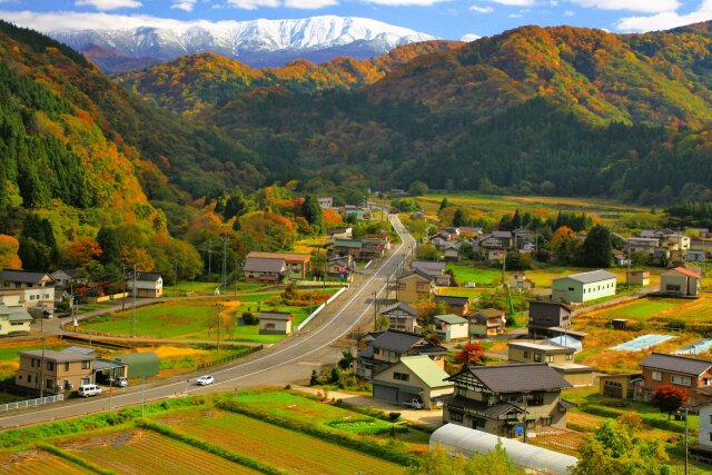 鶴岡市の集落と月山