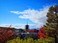 晩秋の京都の町並み