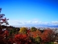 晩秋の京都の町並み