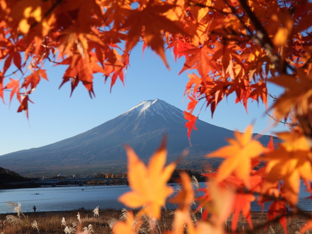 もみじに富士山