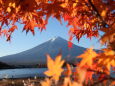 もみじに富士山