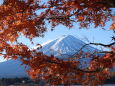 残りもみじ&富士山
