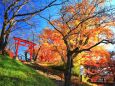 朱塗りの鳥居と紅葉