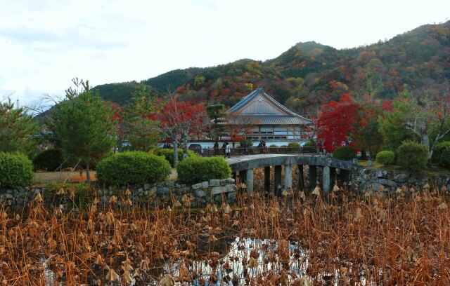 天龍寺から嵐山