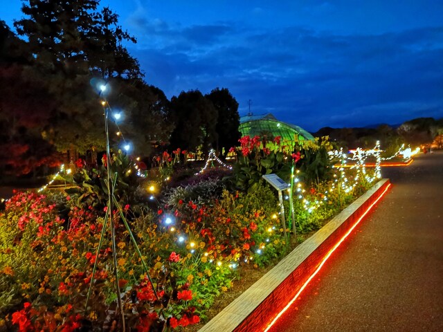 京都府立植物園