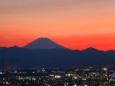 都庁から富士山