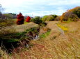 冬枯れ初冬の公園を流れる川