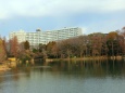 井の頭公園