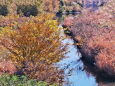 晩秋の河原