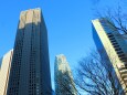 冬の新宿高層ビル街