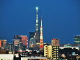 東京タワーとスカイツリー