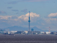 東京スカイツリー