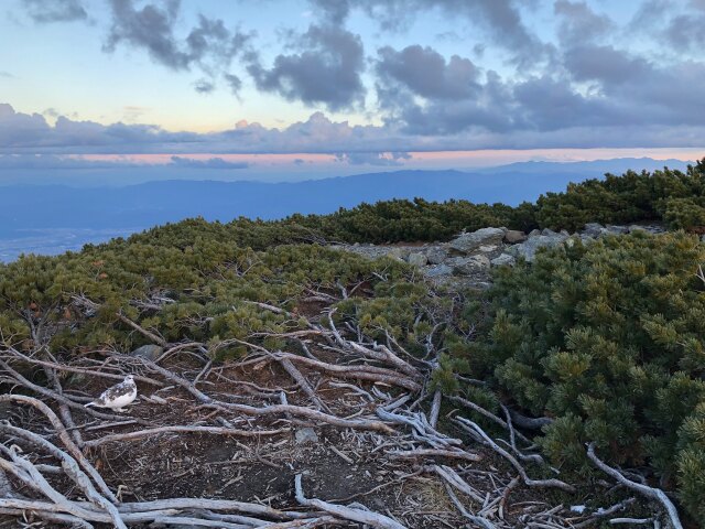 蝶ヶ岳山頂にて