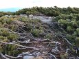 蝶ヶ岳頂上にて