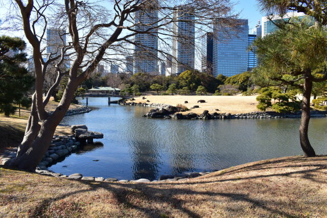 浜離宮恩賜庭園