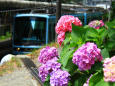 RndList[3]