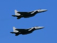 F-15J & F-15DJ