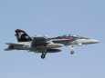 EA-18G SHADOWHAWKS #500