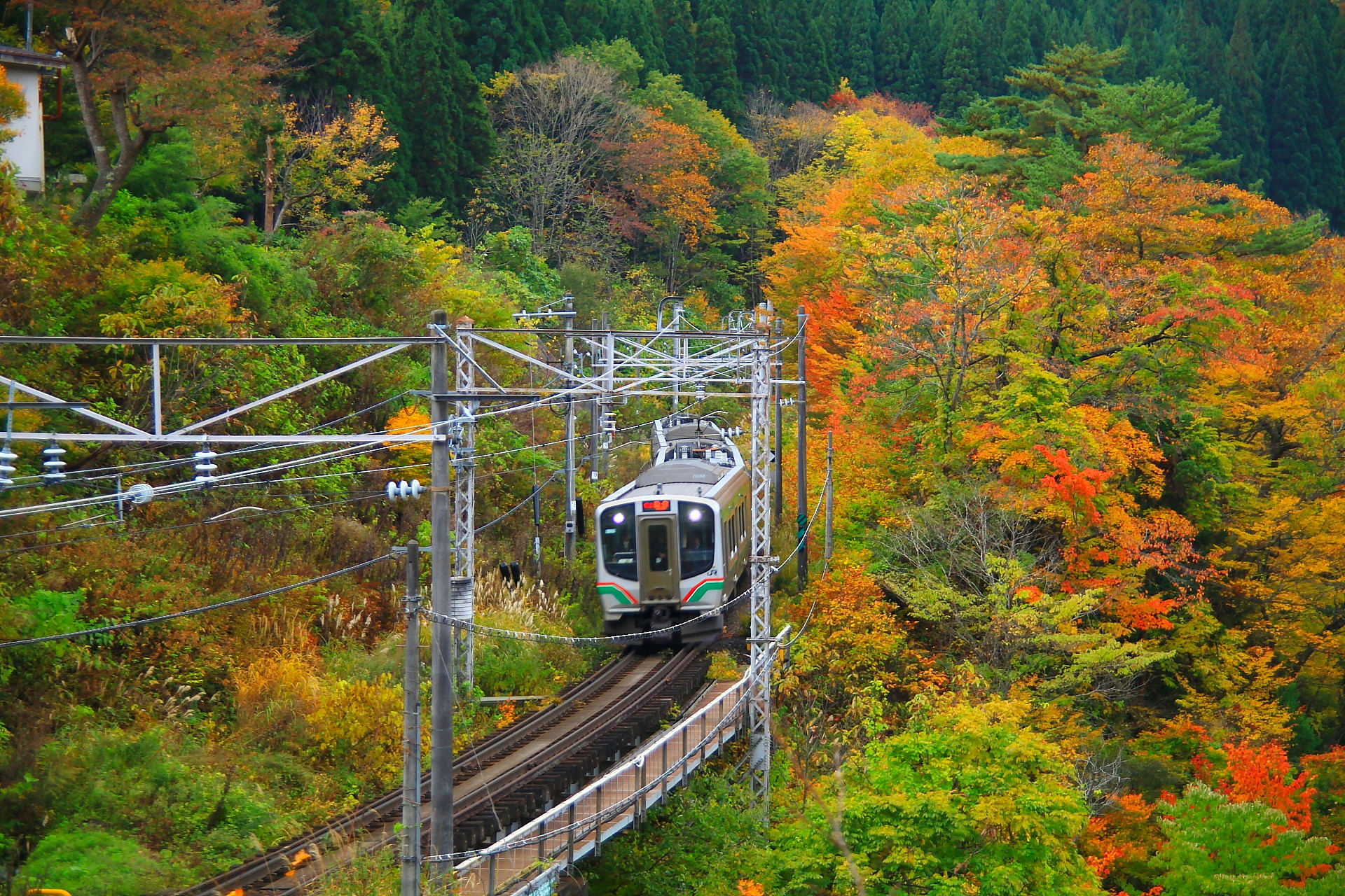 鉄道 電車 仙山線 面白山高原を走る 壁紙19x1280 壁紙館