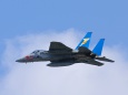 F-15J SP塗装機