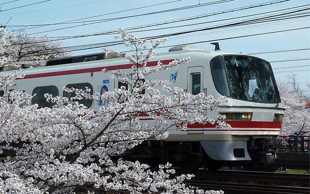 百十郎桜2013 名鉄_2