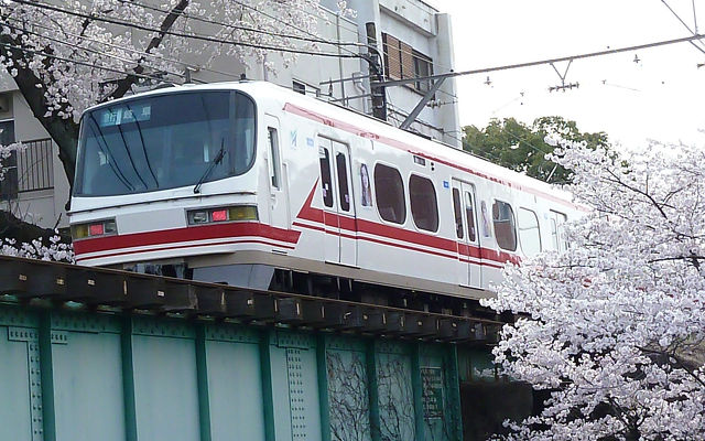 百十郎桜2013 名鉄_5