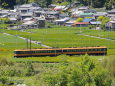 茶畑と大井川鉄道