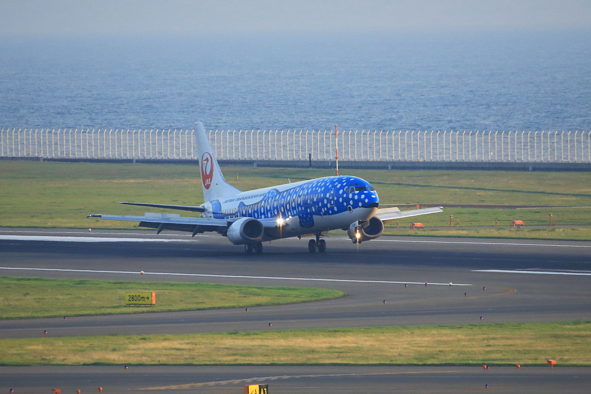 航空機 日本航空くじら飛行機 壁紙19x1280 壁紙館