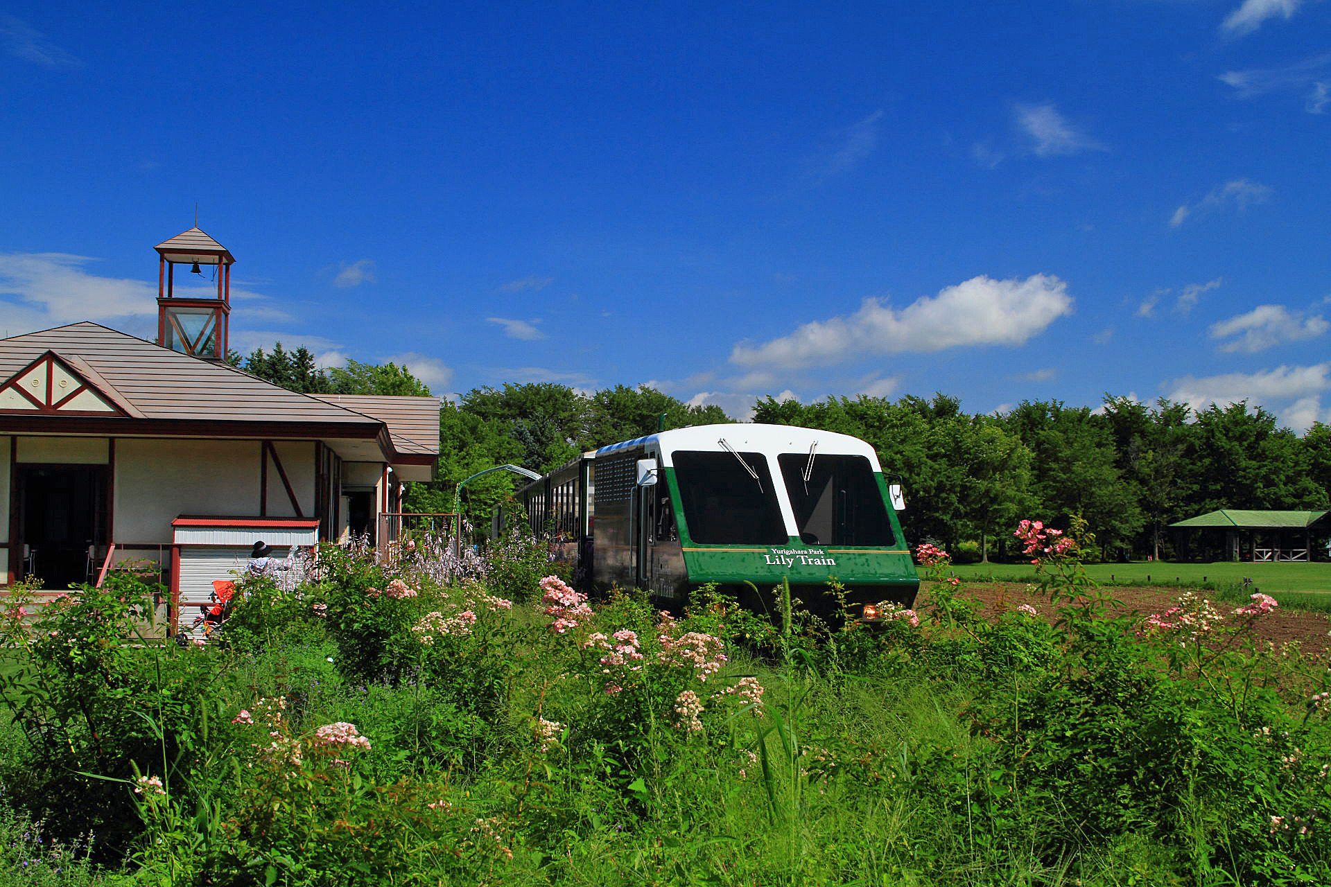 鉄道 気動車 リリー トレイン 夏景色 壁紙19x1280 壁紙館