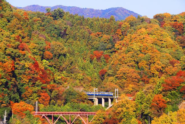 紅葉と中央本線の115系