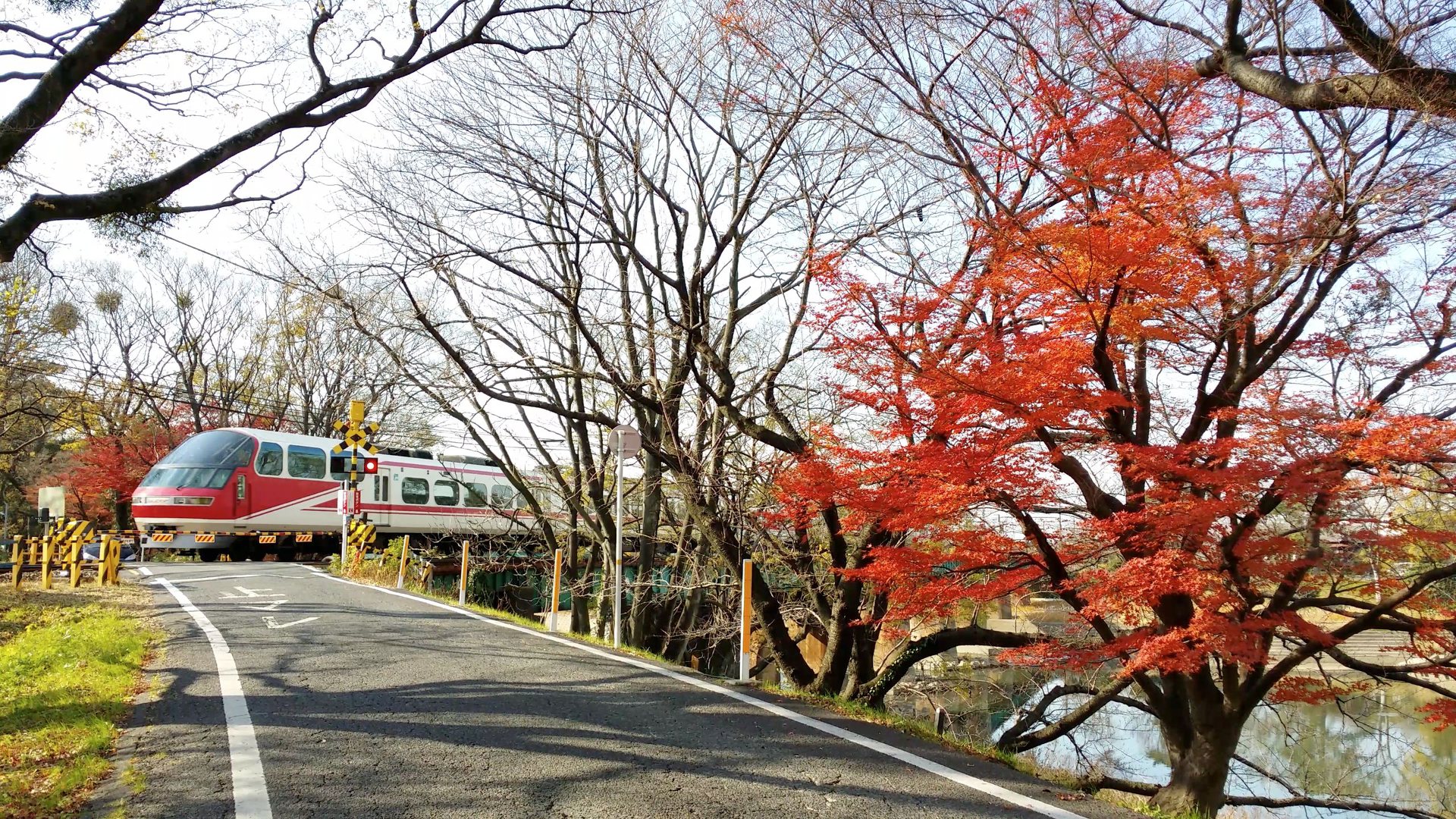 鉄道 電車 スマホ4k切り出し 秋の踏切 壁紙19x1080 壁紙館