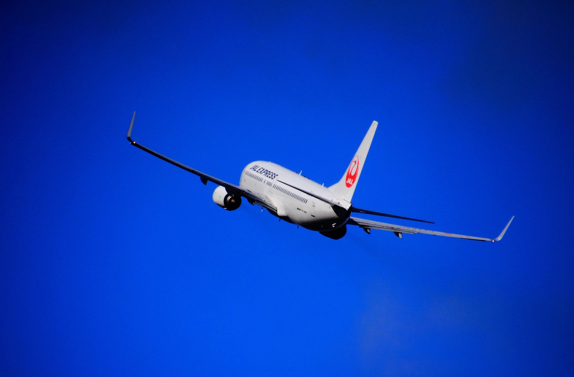 航空機 Jal 37 800 右旋回 壁紙19x1262 壁紙館