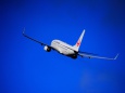 JAL B737-800 右旋回