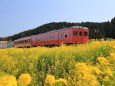 春満開いすみ鉄道キハ52+キハ28