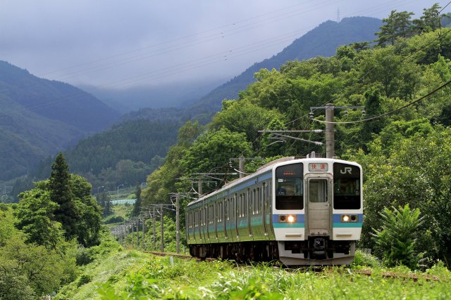 211系臨時快速 (WVしなの代走)