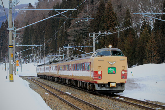 485系「懐かしの特急みのり」