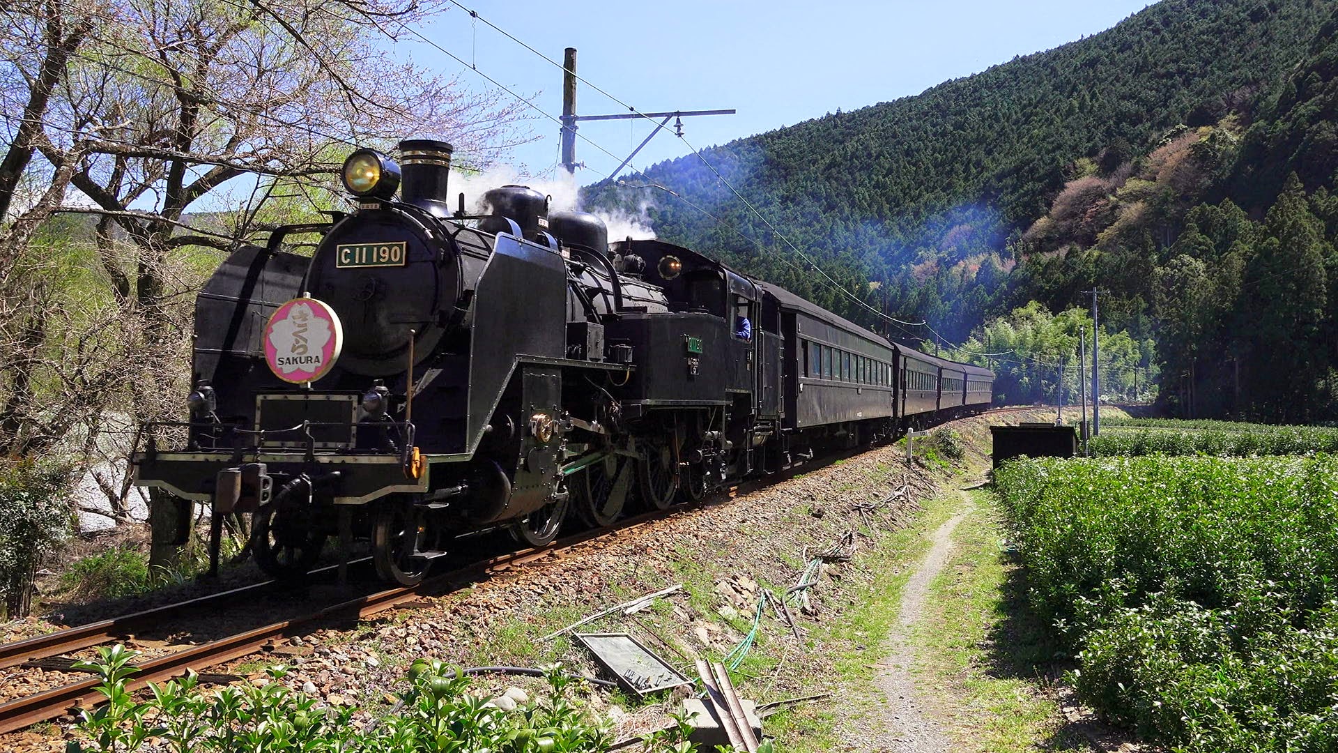 鉄道 蒸気機関車 Sl急行さくら9 壁紙19x1080 壁紙館