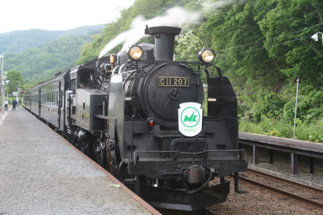 カニ目のC11 団臨運用