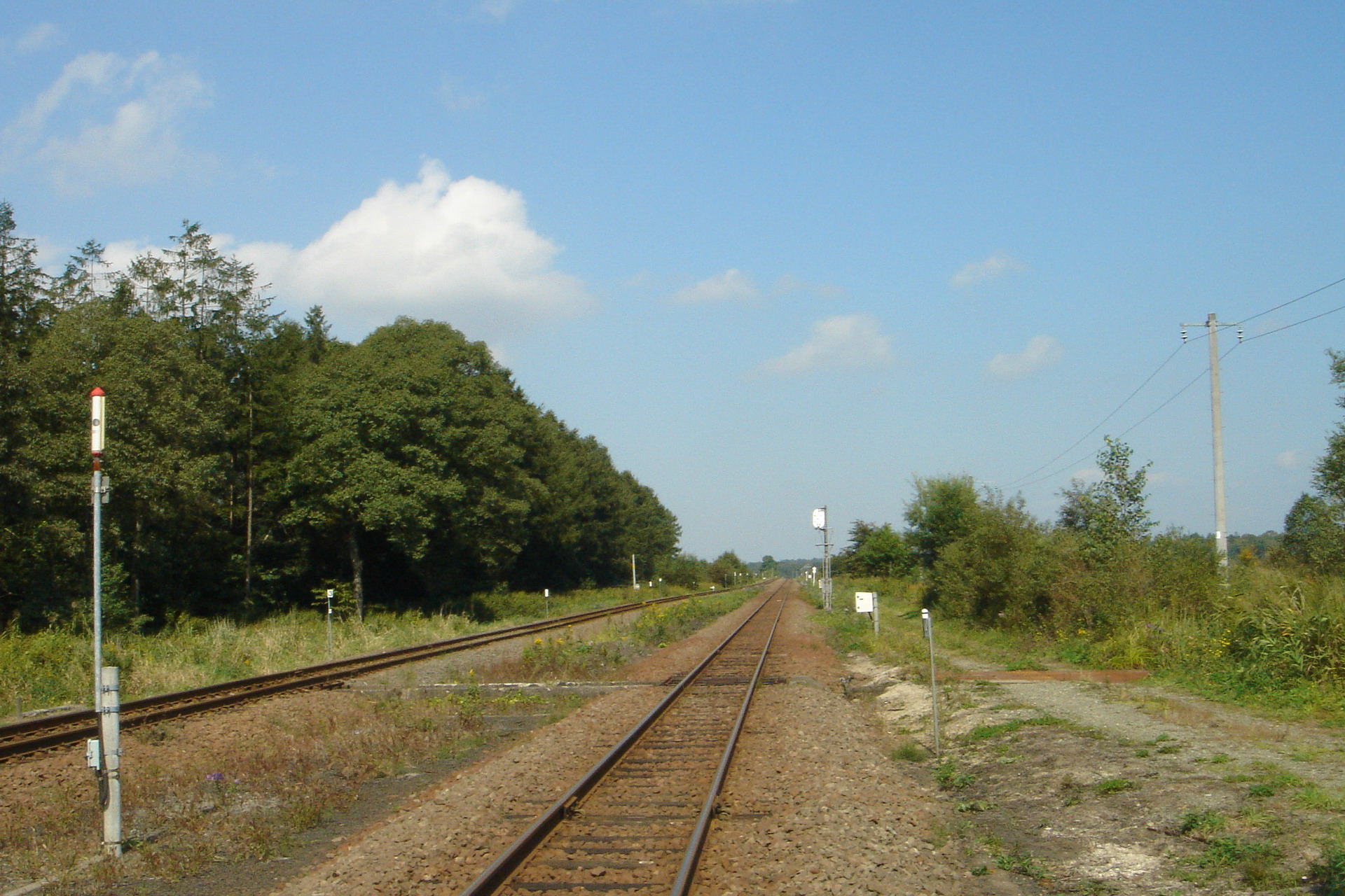 鉄道 その他 線路は続く 壁紙19x1280 壁紙館