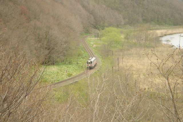 早春の湿原を行く