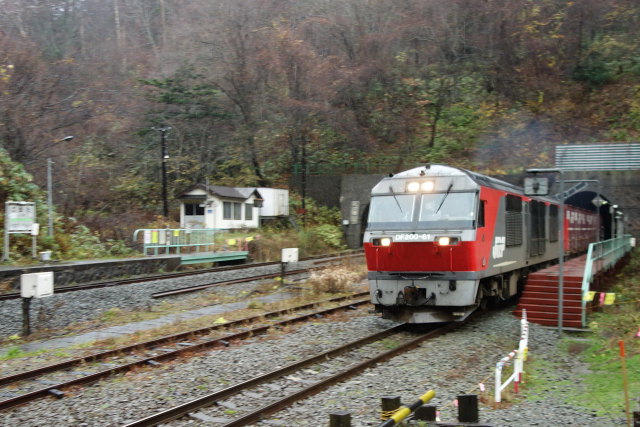 新礼文華山隧道を駆け抜ける赤熊