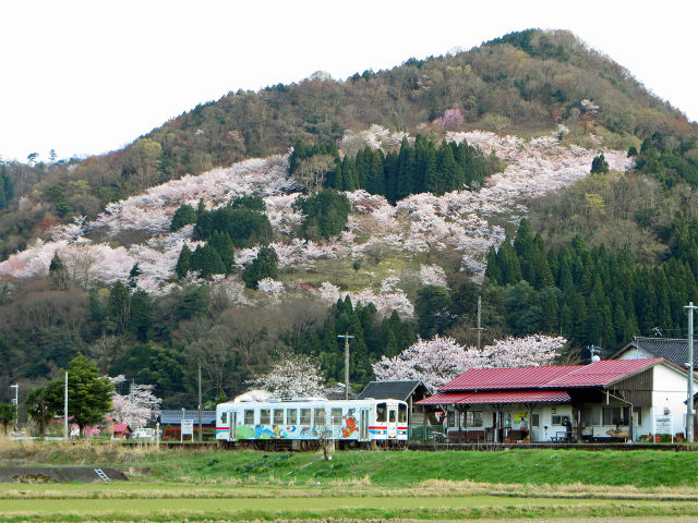 若桜鉄道WT3000