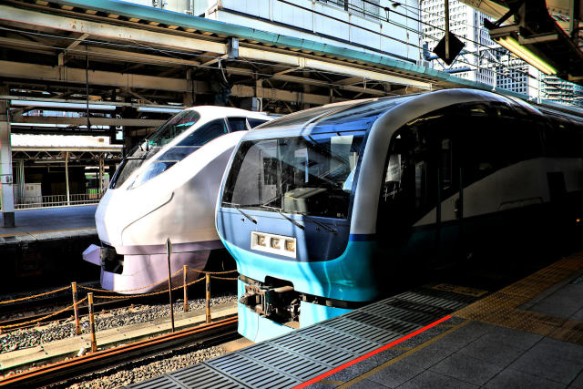 特急ときわ・特急踊り子