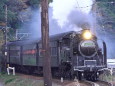 蒸気列車