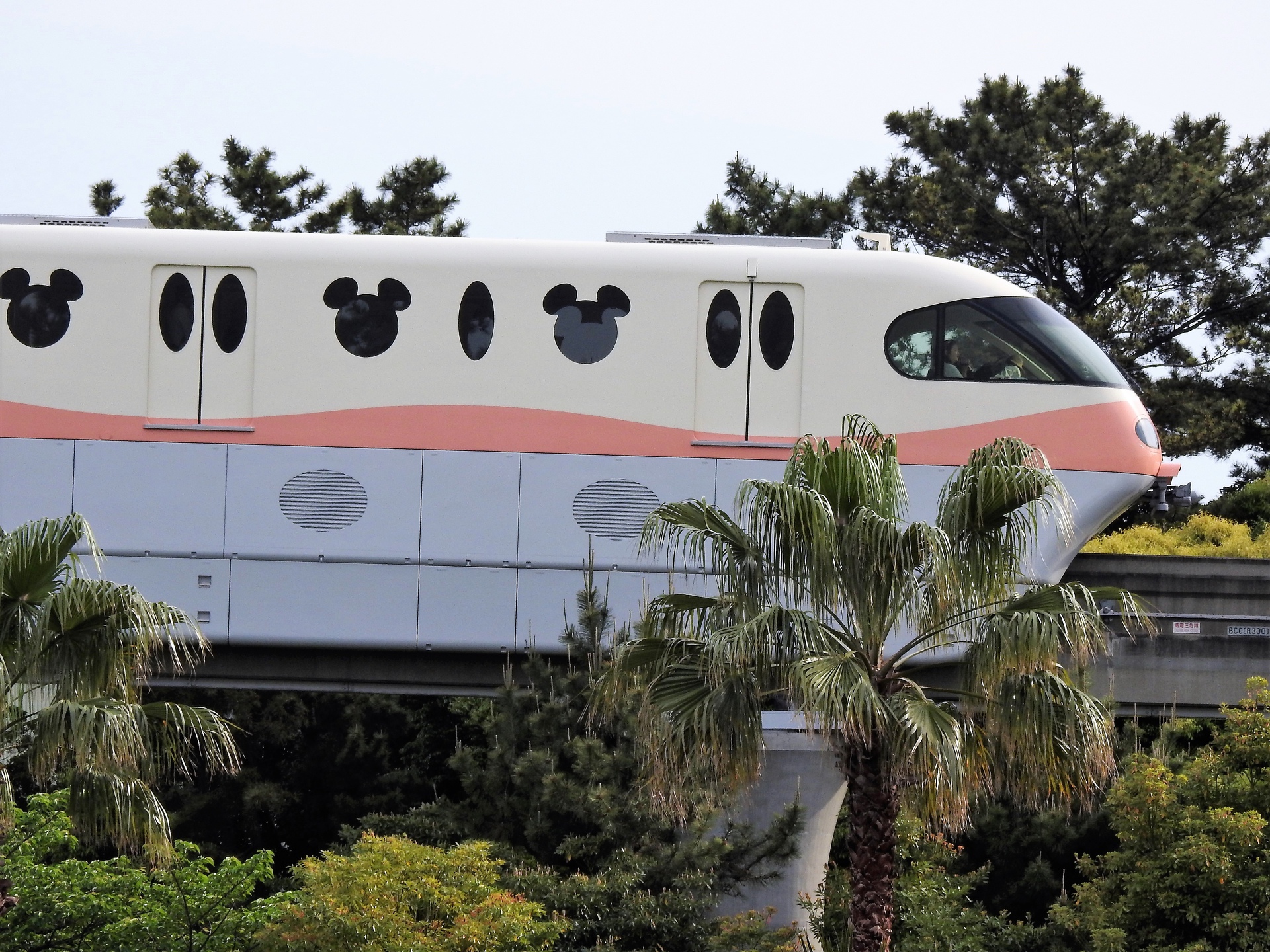 鉄道 その他 ディズニーリゾートライン 壁紙19x1440 壁紙館