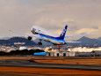 ANA B787-8 JA819A